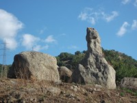 Orgale - 20120725 027.jpg
